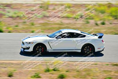 media/Apr-27-2024-LA Shelby Club (Sat) [[ca61902bd2]]/White Group/Session 2 (Turns 4 5 and 6)/